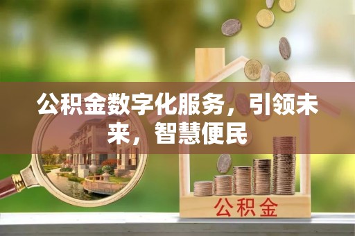 承德公积金数字化服务，引领未来，智慧便民