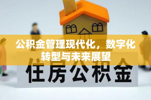 承德公积金管理现代化，数字化转型与未来展望