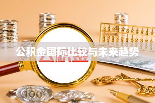 承德公积金国际比较与未来趋势