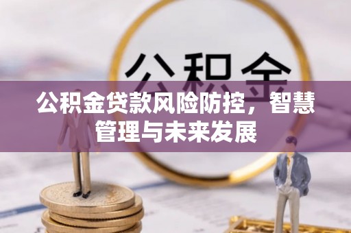 承德公积金贷款风险防控，智慧管理与未来发展