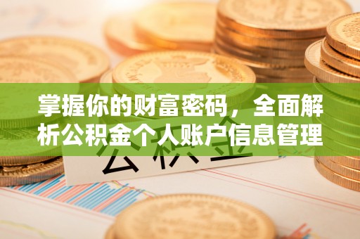 承德掌握你的财富密码，全面解析公积金个人账户信息管理与优化
