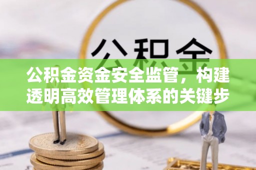 承德公积金资金安全监管，构建透明高效管理体系的关键步骤