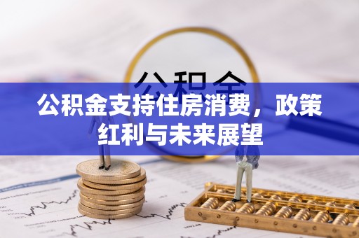 承德公积金支持住房消费，政策红利与未来展望