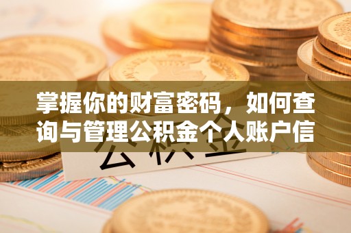 承德掌握你的财富密码，如何查询与管理公积金个人账户信息