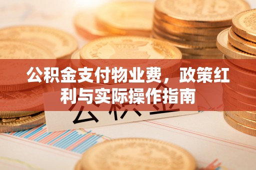 承德公积金支付物业费，政策红利与实际操作指南