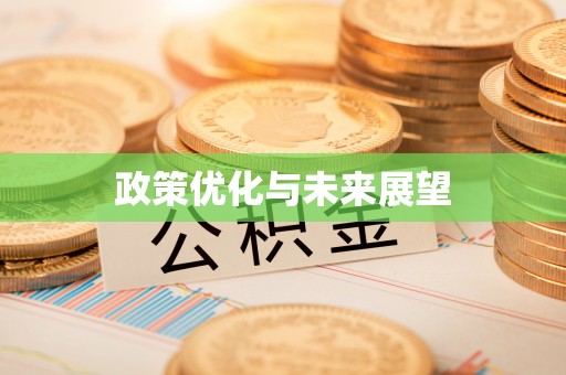 承德政策优化与未来展望