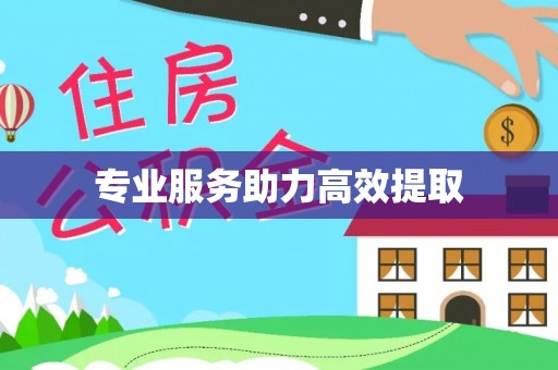承德专业服务助力高效提取